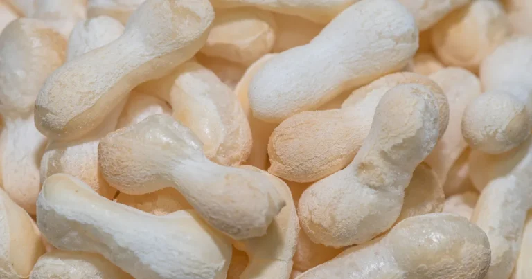 Biscoito de polvilho na Airfryer