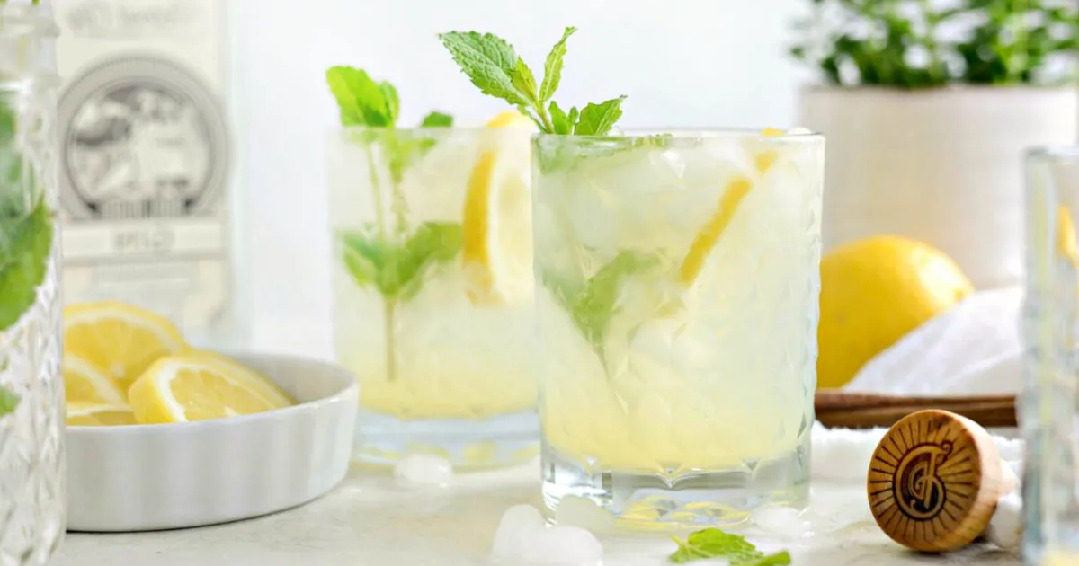 Gin Fizz: gin, limão e hortelã