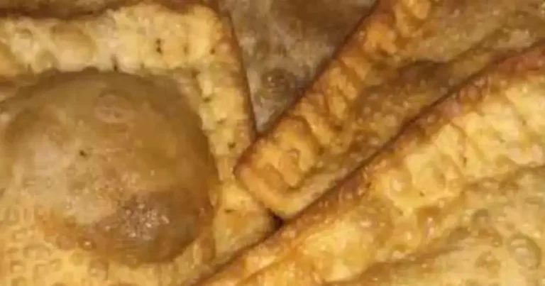 Foto da receita de Mini pastel de queijo