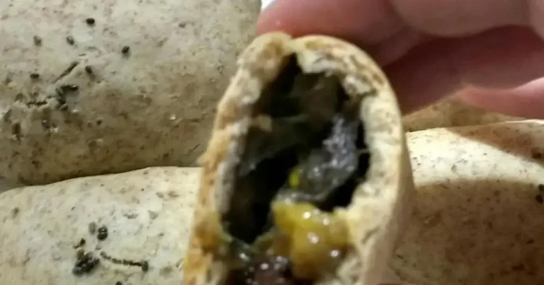 Foto da receita de Pastel assado funcional