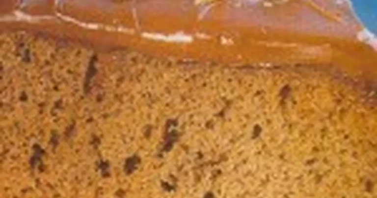 Foto da receita de Bolo de chocolate guloso