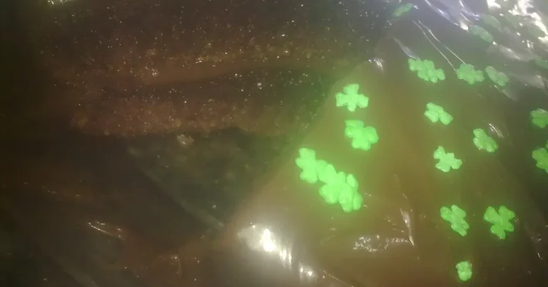 Foto da receita de Torta de Chocolate Negrita