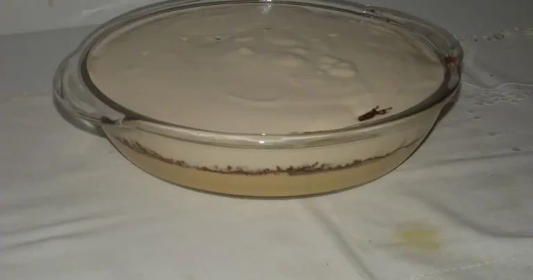 Foto da receita de Torta de Ovomaltine