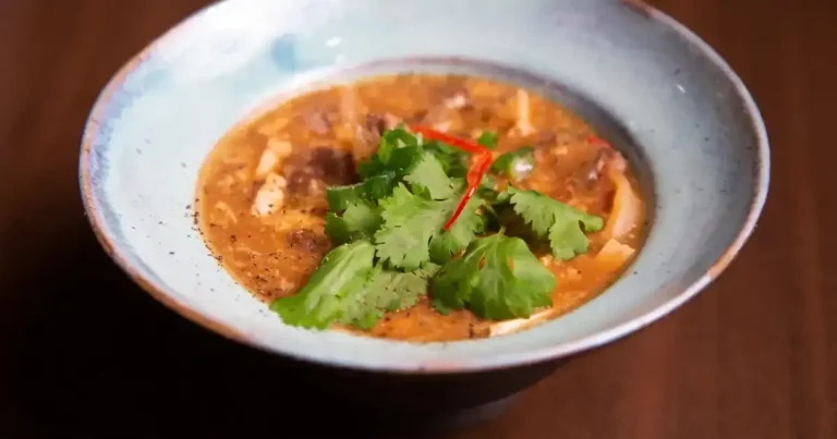 Sopa picante e azeda (hot and sour soup) fermentada de pato com tofu
