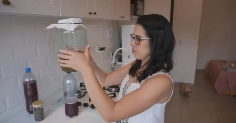 Foto da receita de Kombucha caseiro